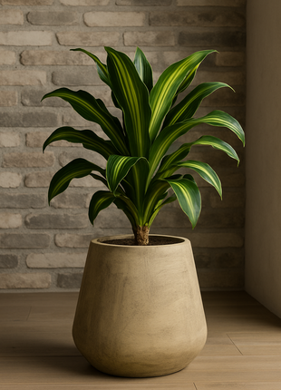 NEWYORK FIBROCEMENTO