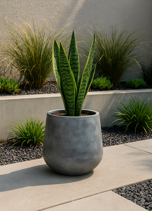 MISIONERA FIBROCEMENTO